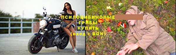 крисы Вязники